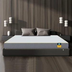 Centuary Ortho-Sleepables, Memory Foam, Medium firm support 5 inch King High Resilience (HR) Foam Mattress