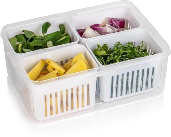 Divyanshi Fridge Storage Container for Kitchen_01 Container for Kitchen 2 L Compact Refrigerator