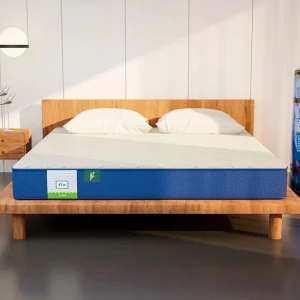 FLO Ortho 5 inch Single PU Foam Mattress