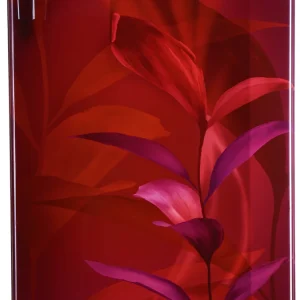 Godrej 234 L Direct Cool Single Door 5 Star Refrigerator with Energy Efficient Inverter Compressor And Jumbo Vegetable Tray