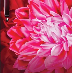 Haier 190 L Direct Cool Single Door 3 Star Refrigerator with Large Storage Space1 Hour Icing Technology