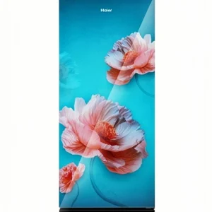 Haier 190 L Direct Cool Single Door 5 Star Refrigerator with Base Drawer