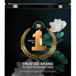LG 251 L Frost Free Double Door 2 Star Convertible Refrigerator