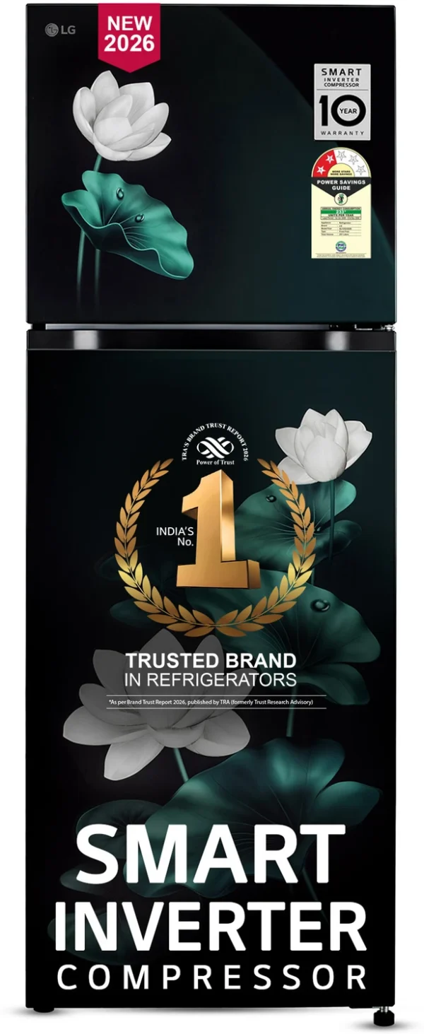 LG 251 L Frost Free Double Door 2 Star Convertible Refrigerator