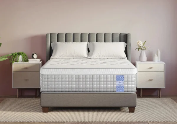 Loom & Needles Gravity Hybrid Euro Top 5 Zoned Zero Partner Disturbance & 7 Layered Foam 6 inch Single Pocket Spring Mattress