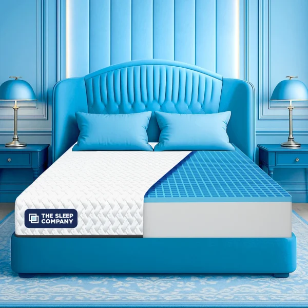 The Sleep Company Orthopedic Grid Mattress | SmartGRID Technology | Medium Firm 5 inch Single High Density (HD) Foam Mattress